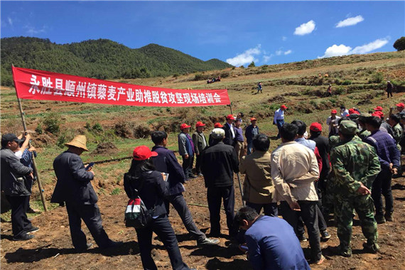 顺州藜麦种植培训会.jpg